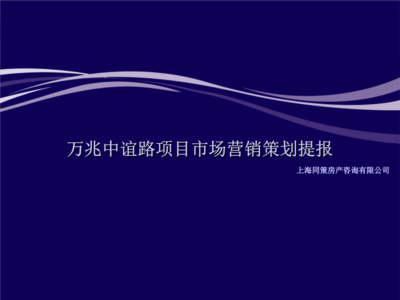 同策上海万兆中谊路项目市场营销策划提报.ppt